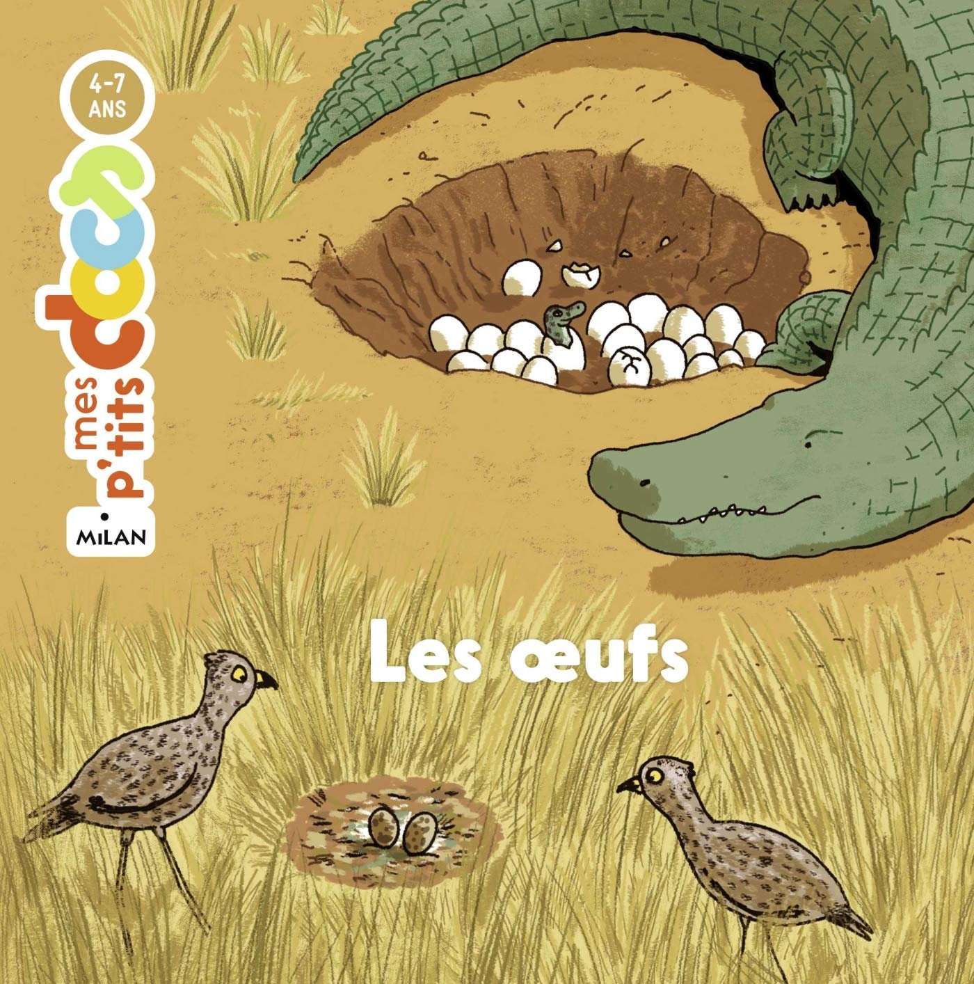 oeufs