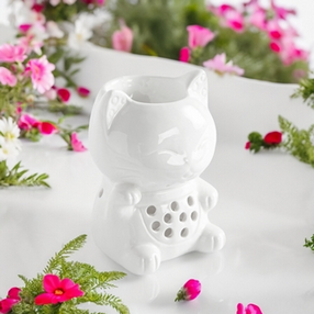 screenshot_2025-01-12_at_20-04-17_fabricant_brule_parfum_animaux_chat_maneki-neko_zenarome
