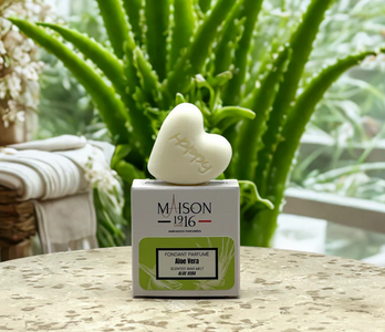 screenshot_2025-12-29_at_17-26-06_fondant_parfumealoe_vera_maison_1916